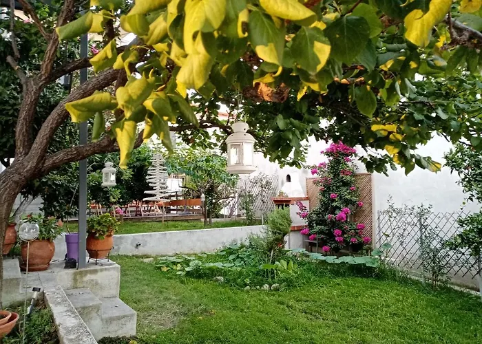 招待所 Mouse House 新马尔马拉斯