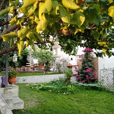 Πανσιόν Mouse House Νέος Μαρμαράς